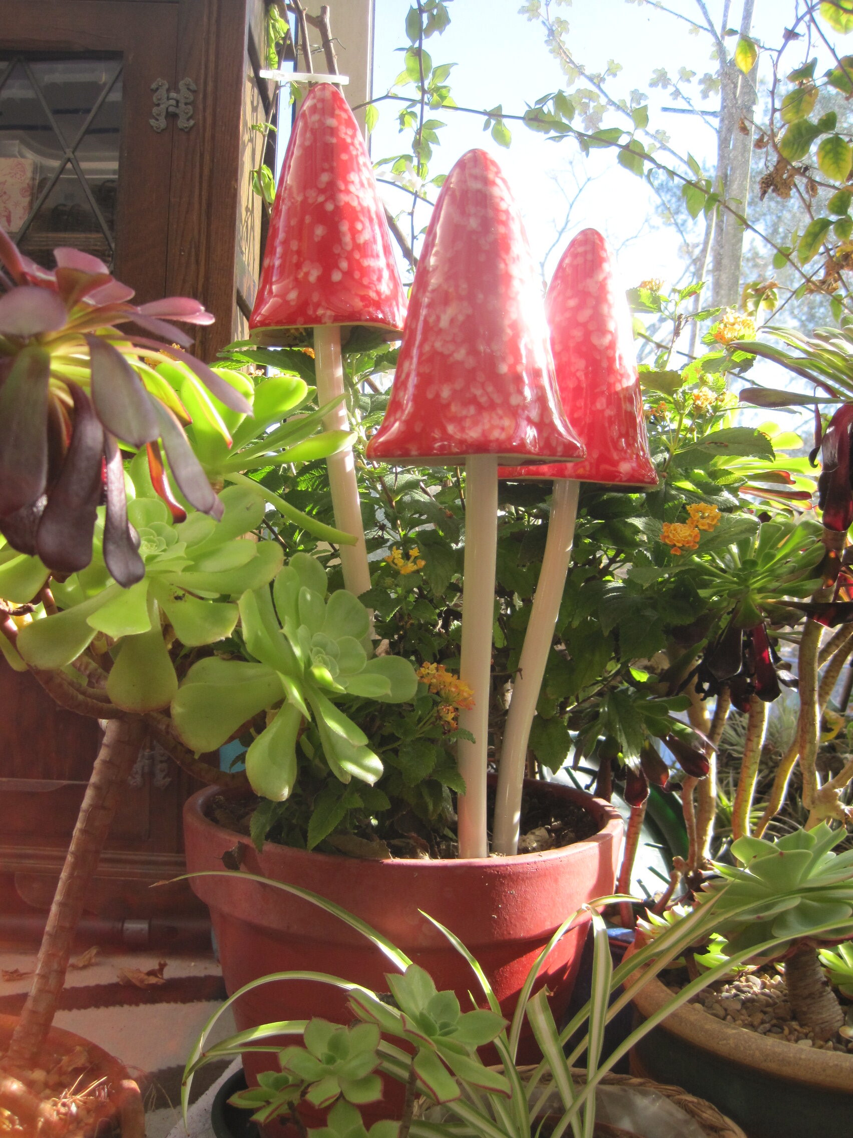 Timeless Toadstools - Giant Set of 3 - Red - Image 2