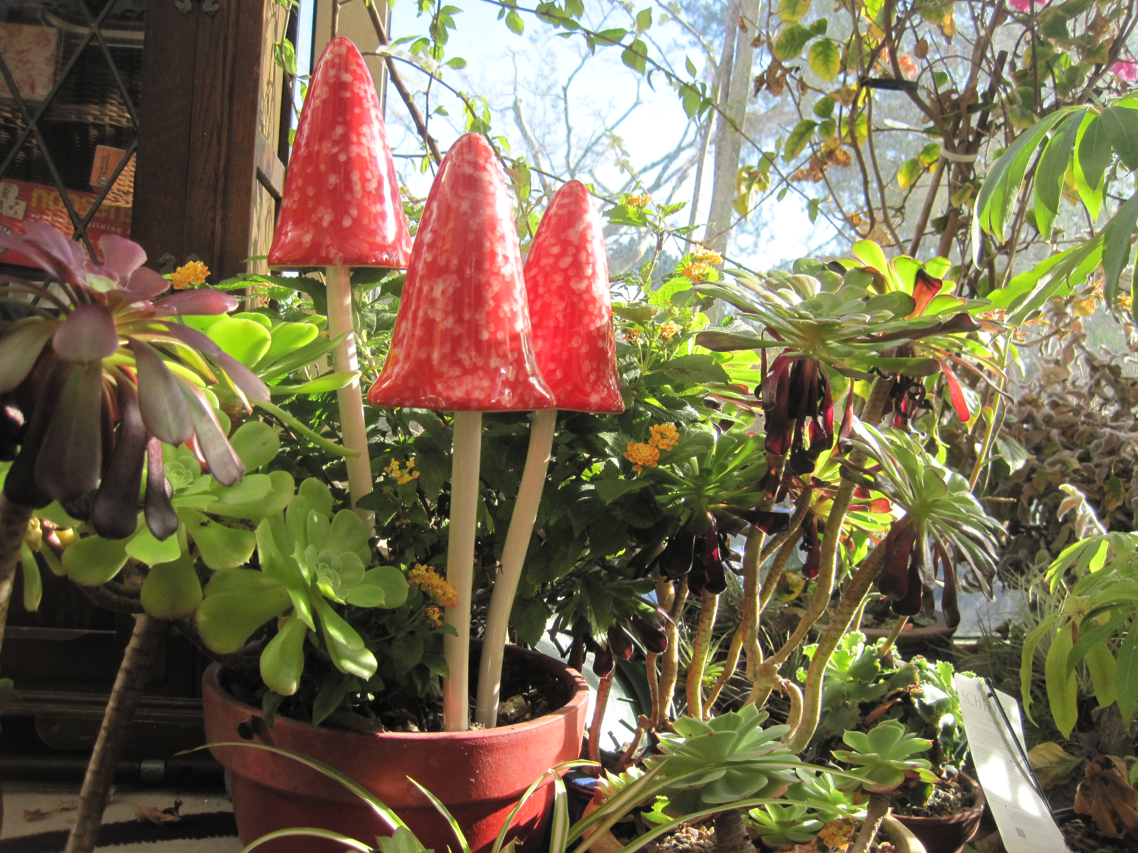 Timeless Toadstools - Giant Set of 3 - Red