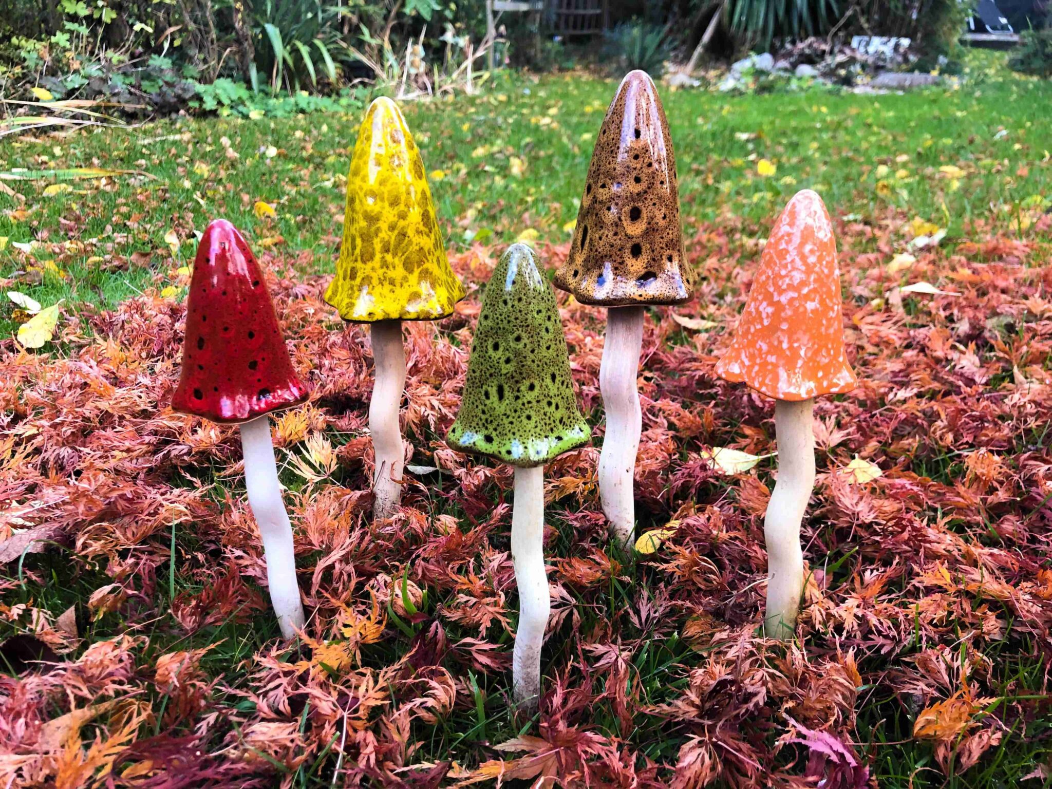 Toadstool Stuff Tinkling & Timeless Toadstools - Leisure Gardening.
