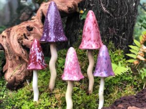 Timeless Toadstools - Spring Shades Set of 5