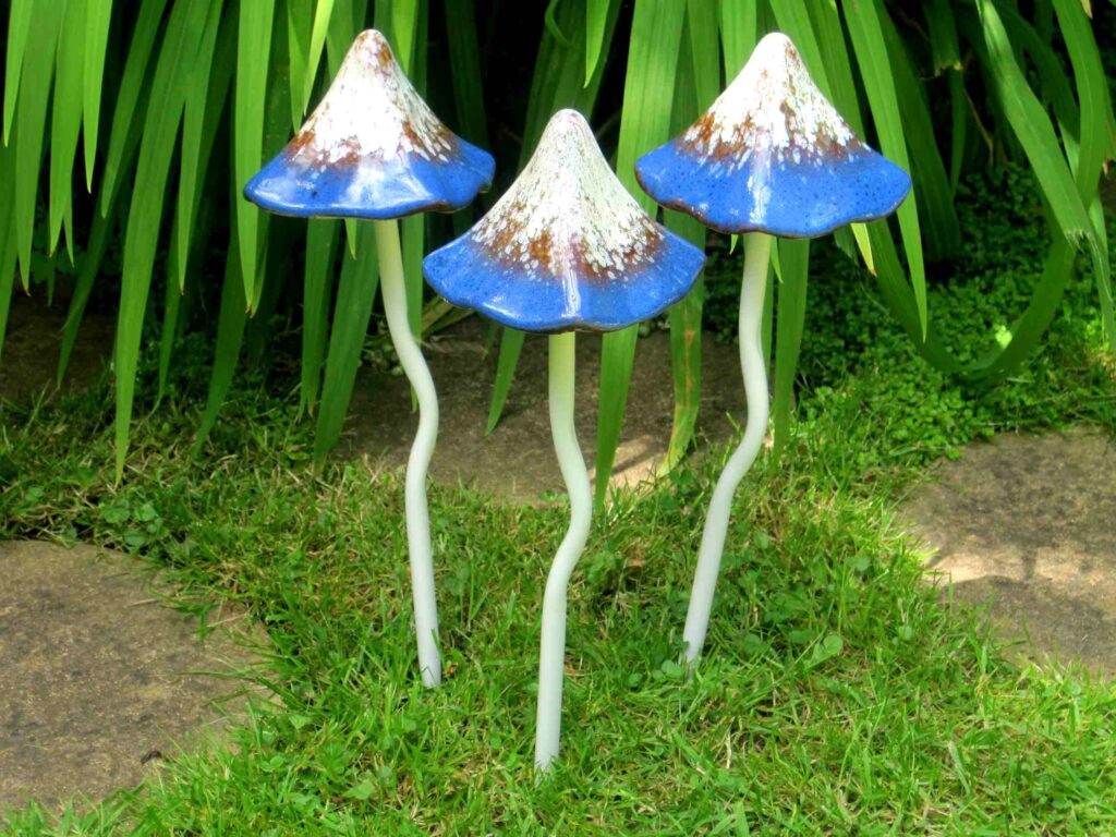 Toadstools Simple Tinkling & Timeless Toadstools - Leisure Gardening.