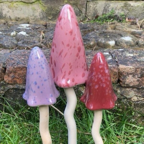 Tinkling Toadstools - 9 Mixed Seasons Toadstools - Leisure Gardening
