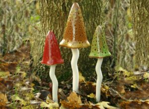 Tinkling & Timeless Toadstools