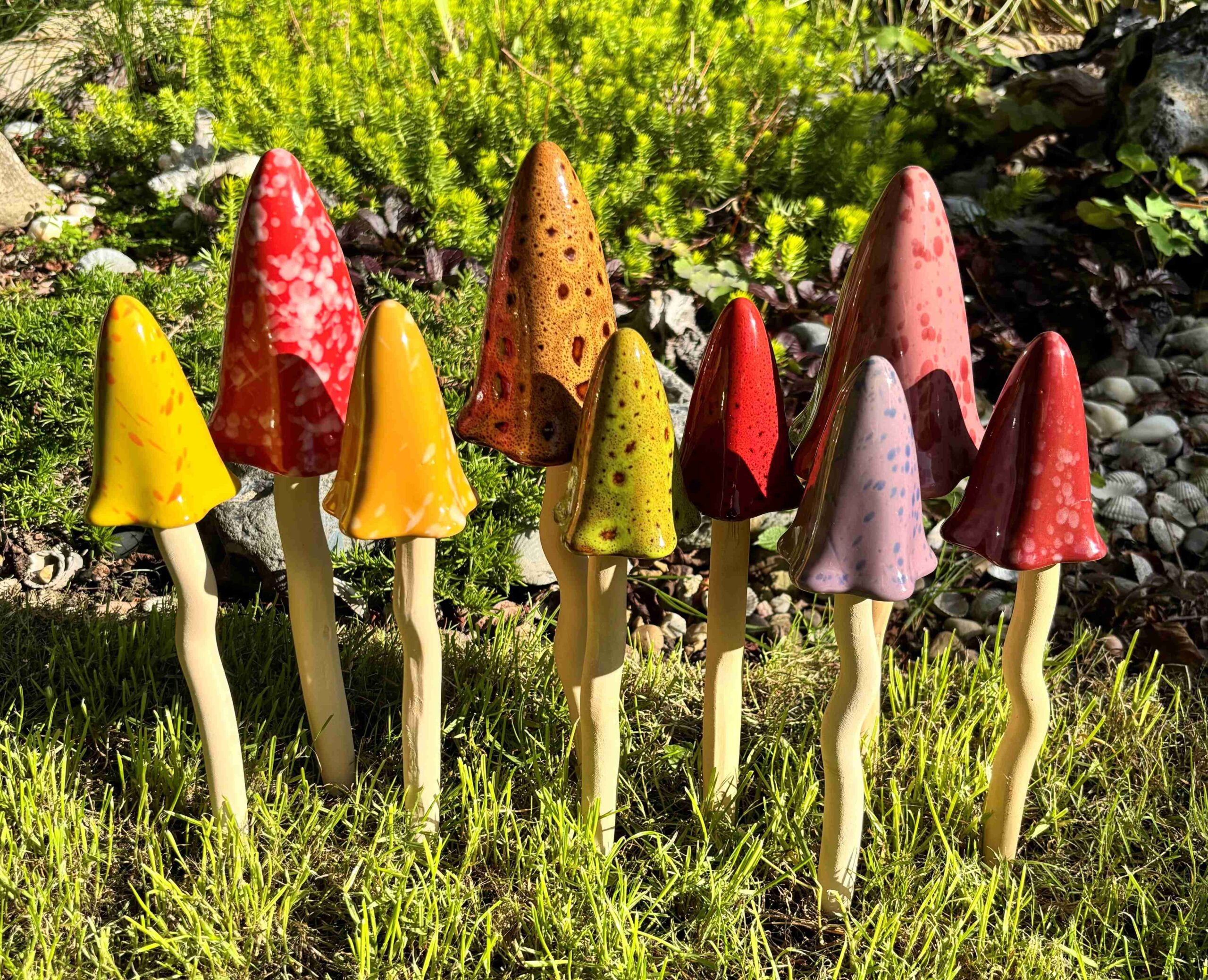 Tinkling Toadstools - 9 Mixed Seasons Toadstools