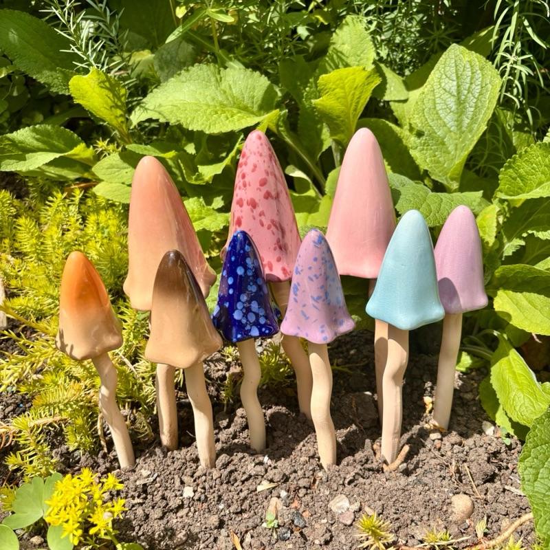 Dusk to Dawn Tinkling Toadstool Bundle